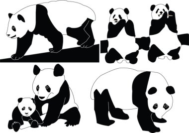 Panda collection clipart