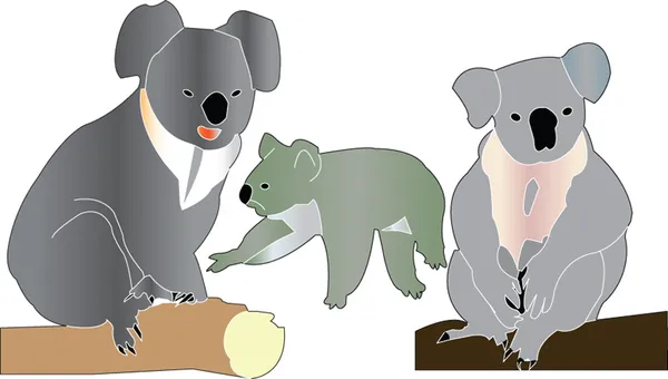Collection Koalas — Image vectorielle