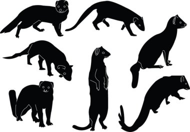 Mongoose collection illustration - vector clipart