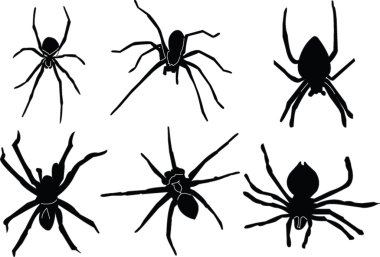 Spiders silhouette clipart