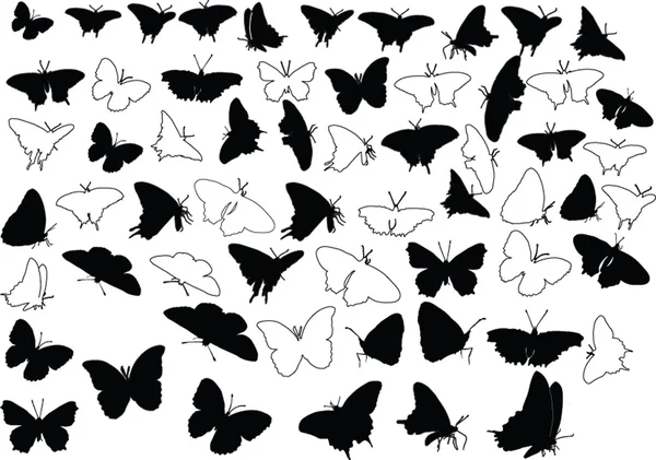 Μεγάλη συλλογή της πεταλούδας — Διανυσματικό Αρχείο