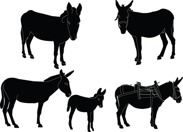 Colecção de burros — Vetor de Stock