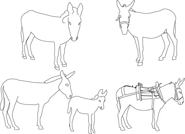 Colección de burros — Archivo Imágenes Vectoriales