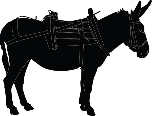 Sellé l'âne — Image vectorielle