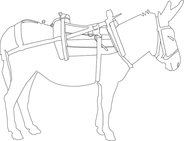 Sadlade donkey vektorn — Stock vektor
