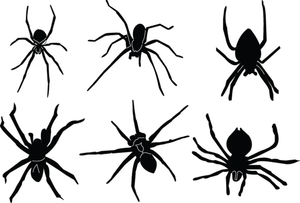 Silhouette d'araignées — Image vectorielle