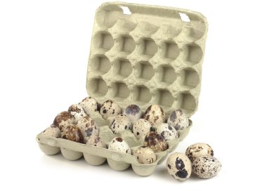 Quail eggs clipart