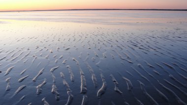 beyaz deniz tarafından çıkış