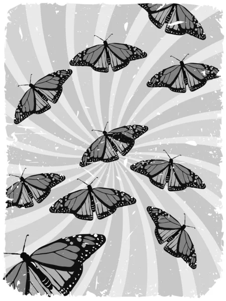 Відтінки сірого метеликів вихору шорсткий — стоковий вектор