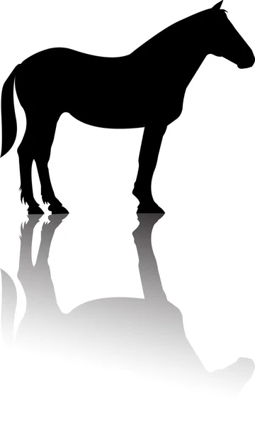 A silhueta de pé de cavalo reflete vetor — Vetor de Stock