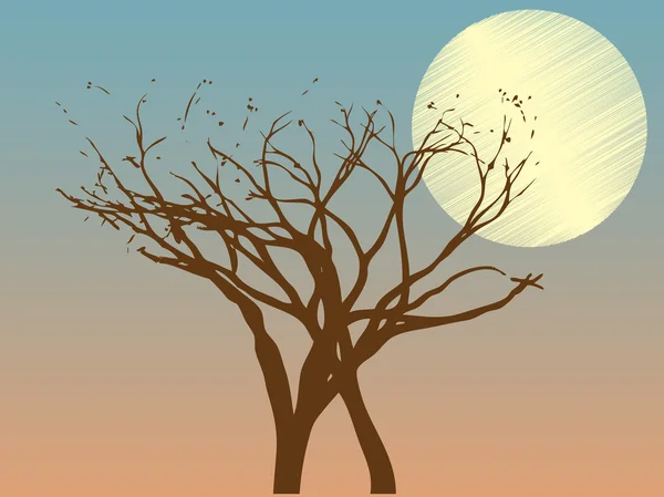 Jednotné hnědé strom bez listí přízvukem útržkovitý slunce — Stockový vektor