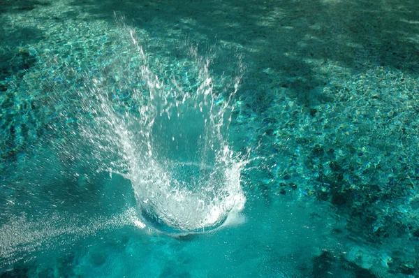 Splash in the Spring — Stock Photo, Image