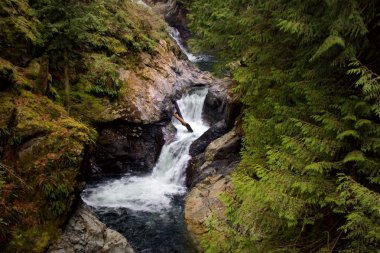 Twin Falls, Snoqualmie River, Washington clipart