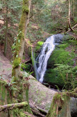 kömür creek falls