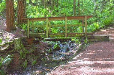 Wooden Bridge Over Mountain Stream clipart