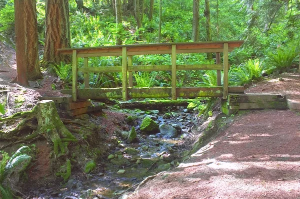 Puente de madera sobre el arroyo de montaña —  Fotos de Stock
