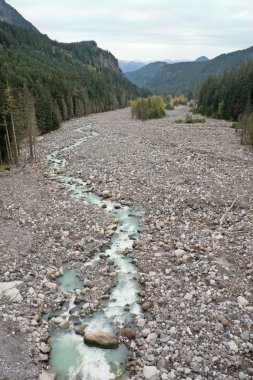 Nisqually River, Glacial Runoff River in Mount Rainier National clipart