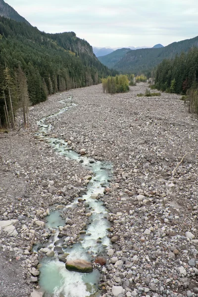Nisqually, rzeka lodowaty odpływ w Narodowego mount rainier — Zdjęcie stockowe