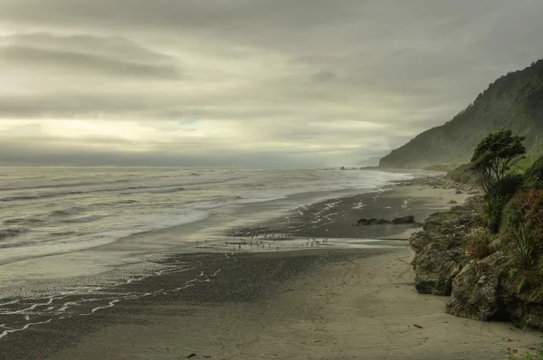 Nova Zelândia litoral — Fotografia de Stock