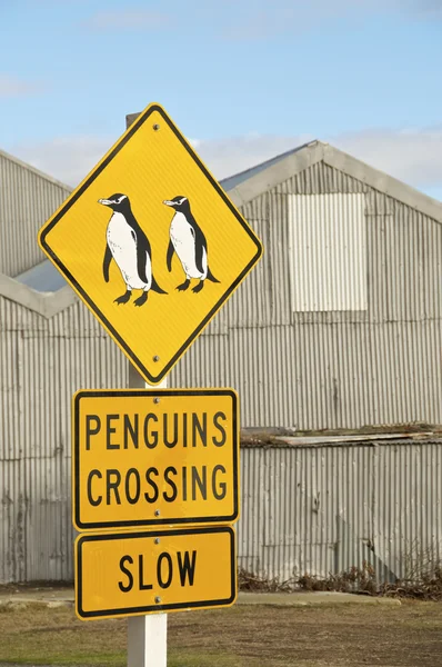 Penguin Crossing — Stock Photo, Image