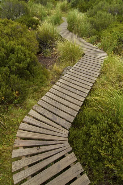 stock image Boardwalk Path