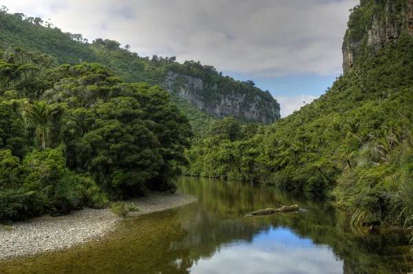 stock image Tropical River