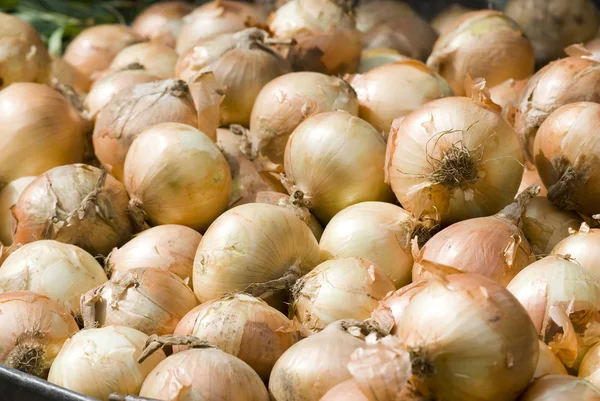 Pale cebuli na rynku — Zdjęcie stockowe