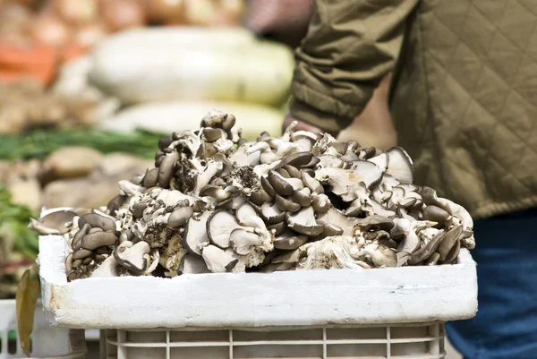 在中国市场上蘑菇 — 图库照片