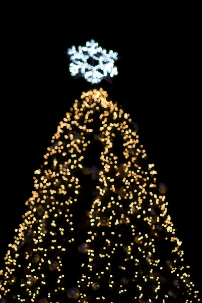Defocused χριστουγεννιάτικο δέντρο σε εξωτερικούς χώρους — Φωτογραφία Αρχείου
