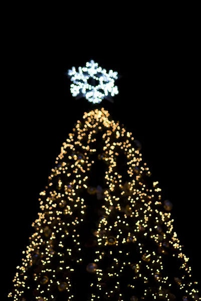 Rozostření vánoční strom venku — Stock fotografie