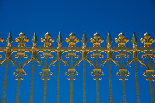 Detail of golden door of Versailles Palace. France