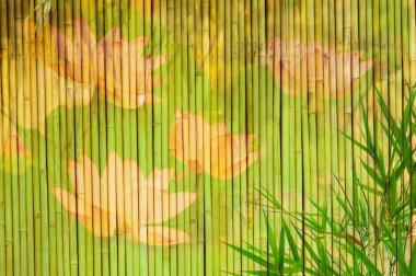 Lotus and bamboo background clipart