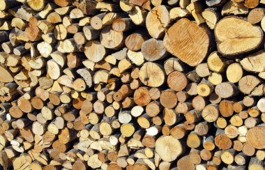Pile of wood clipart