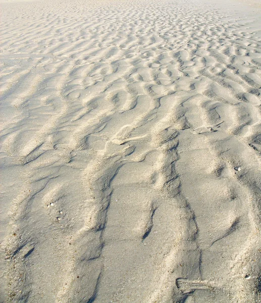 3D báb tolvaj세부 해변 모래 질감 배경 — 스톡 사진