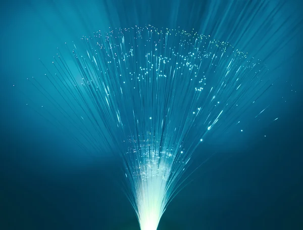 Bunch of optical fibres dinamic flying from deep on technology background — Stock Photo, Image