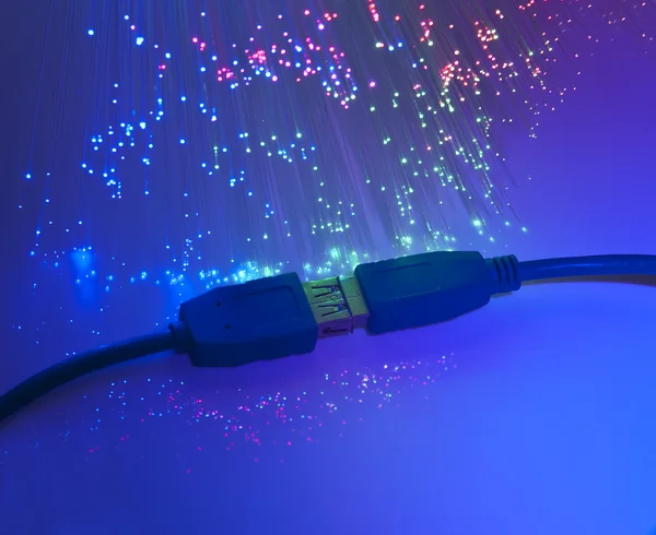 锁和网络电缆与纤维光学背景 — 图库照片