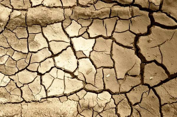 Global warming concept of cracked ground — Stock Photo, Image