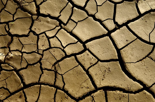 Global warming concept of cracked ground — Stock Photo, Image