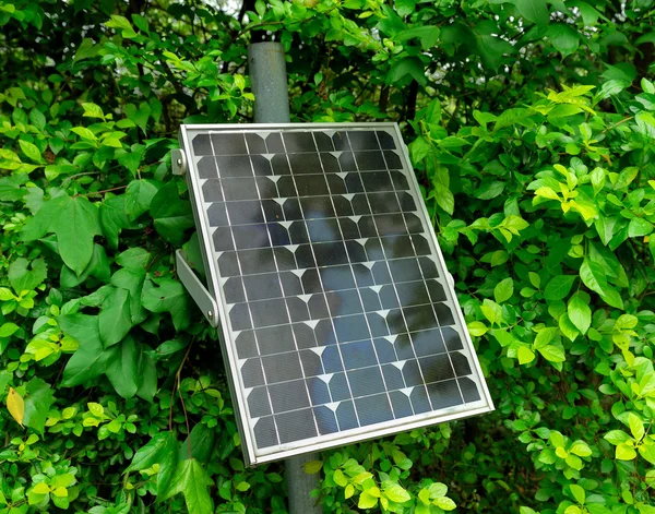 Солнечная панель с зеленым деревом — стоковое фото