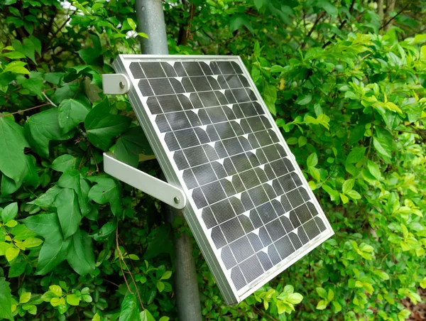 Solar panel with green tree — Stock Photo, Image