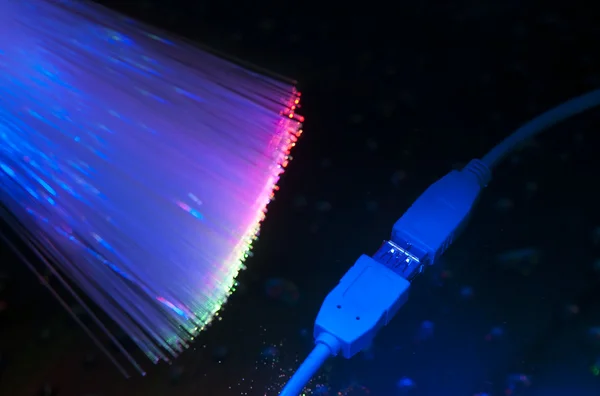 Fiber optik arka kilit ve ağ kablosuyla — Stok fotoğraf