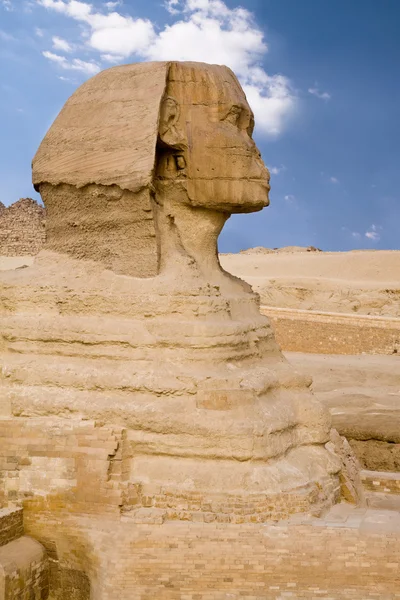 Єгипетський Сфінкс — стокове фото