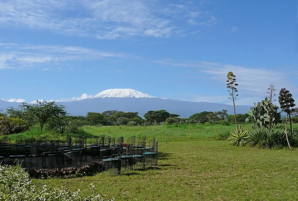Kilimanjaro en Kenia — Foto de Stock