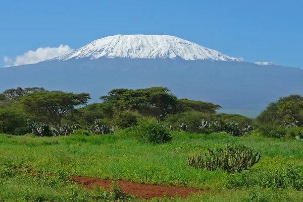 Kilimandscharo in kenia — Stockfoto