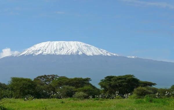 Kilimandscharo in kenia — Stockfoto