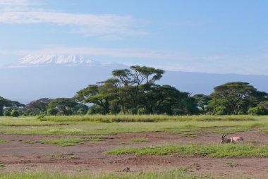 Kilimanjaro Kenya