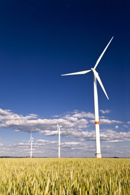 Windmills in a field of rye clipart