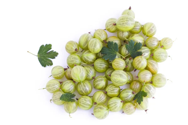Grosella verde fresca — Foto de Stock