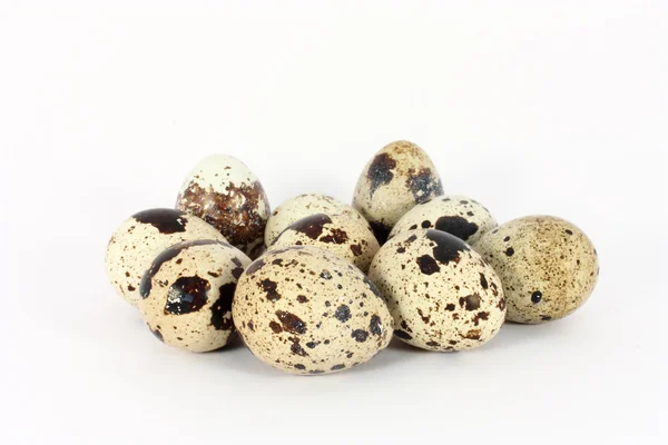 Ovos de codorniz japonesa — Fotografia de Stock