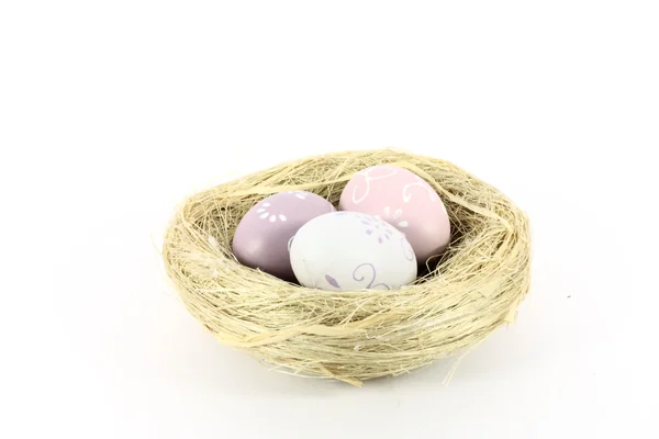 Nest with eggs — Stock Photo, Image